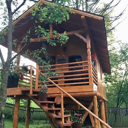 Domeniul Horj Casa Din Cires Moisei Villa ภายนอก รูปภาพ