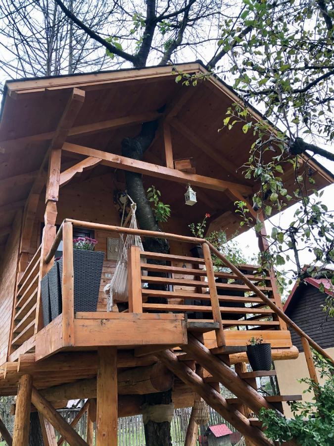 Domeniul Horj Casa Din Cires Moisei Villa ภายนอก รูปภาพ
