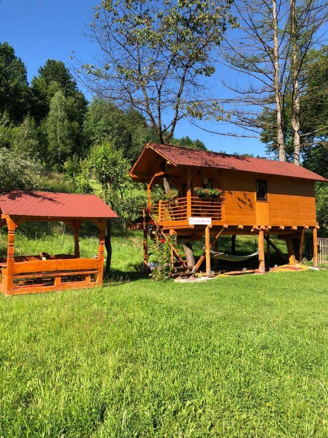 Domeniul Horj Casa Din Cires Moisei Villa ภายนอก รูปภาพ