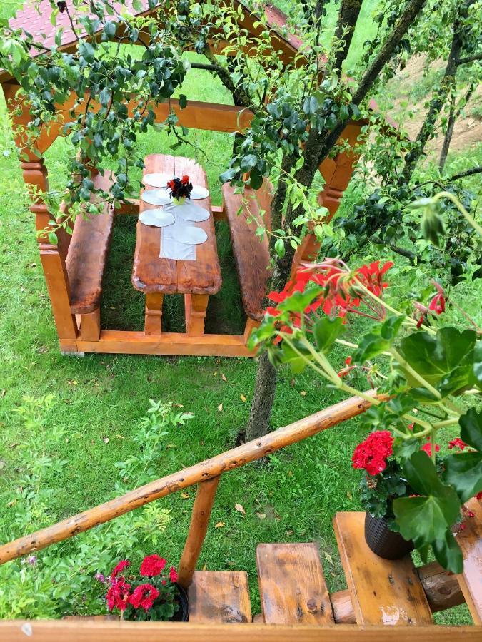 Domeniul Horj Casa Din Cires Moisei Villa ภายนอก รูปภาพ