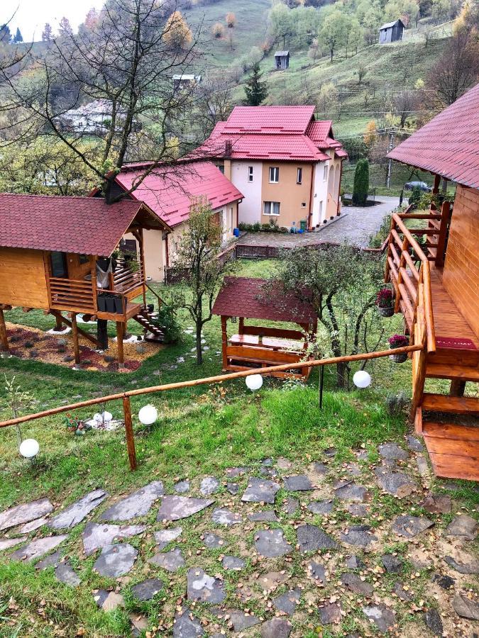 Domeniul Horj Casa Din Cires Moisei Villa ภายนอก รูปภาพ