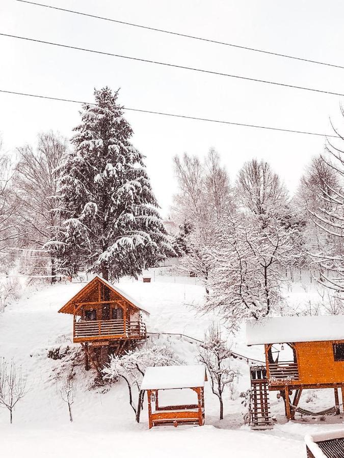 Domeniul Horj Casa Din Cires Moisei Villa ภายนอก รูปภาพ