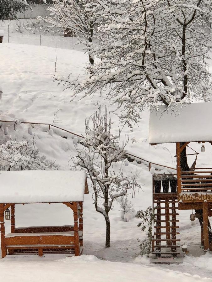 Domeniul Horj Casa Din Cires Moisei Villa ภายนอก รูปภาพ