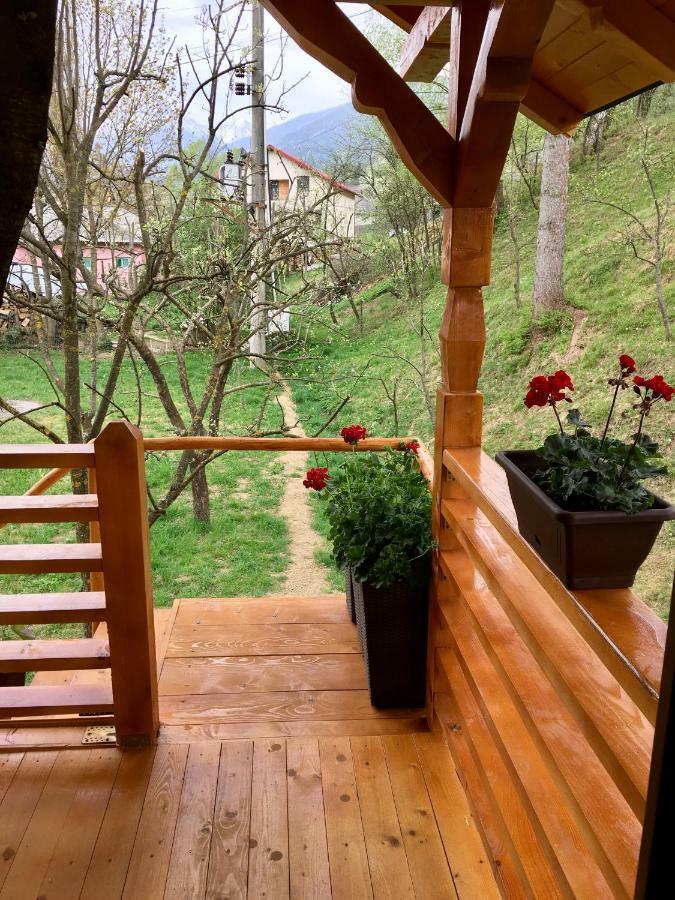 Domeniul Horj Casa Din Cires Moisei Villa ภายนอก รูปภาพ