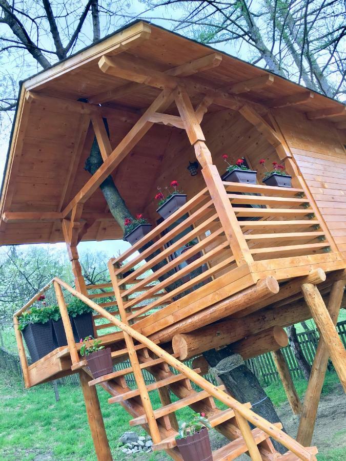 Domeniul Horj Casa Din Cires Moisei Villa ภายนอก รูปภาพ