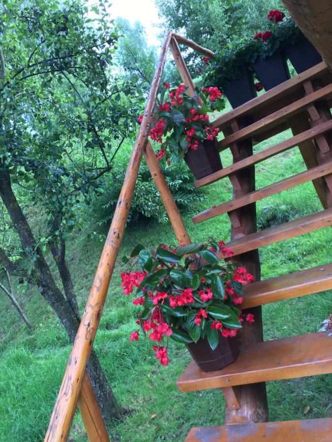 Domeniul Horj Casa Din Cires Moisei Villa ภายนอก รูปภาพ